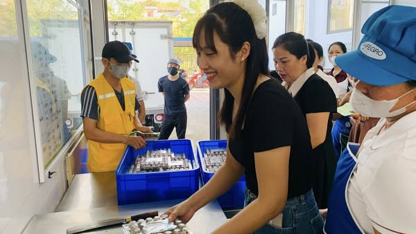 562433831 1528122422650799 4485889785873840069 n