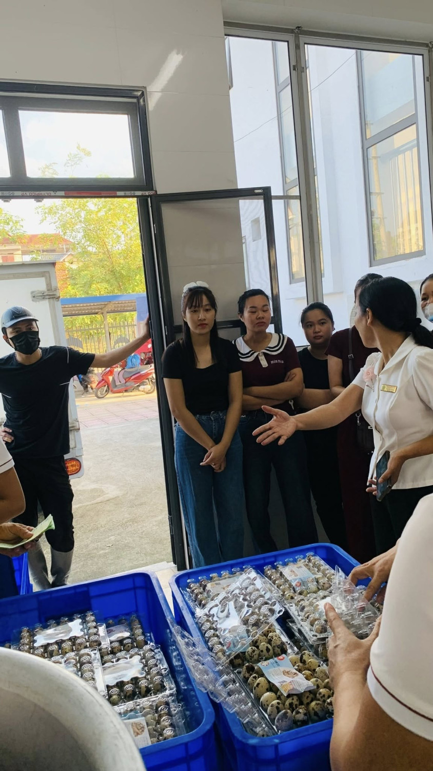 567697299 1528124025983972 6792909694677553341 n