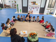 Hoạt động nhận biết tập nói: “Quả cam” – Lớp D2