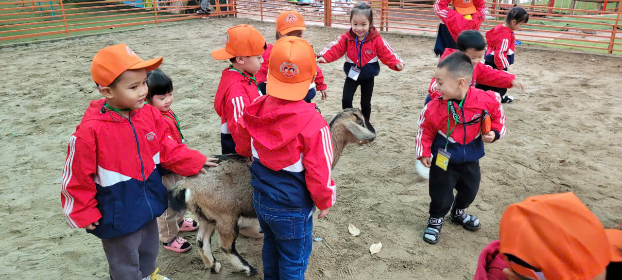 z7456399227722 c4e3601717cb60a4208fafac732399f3